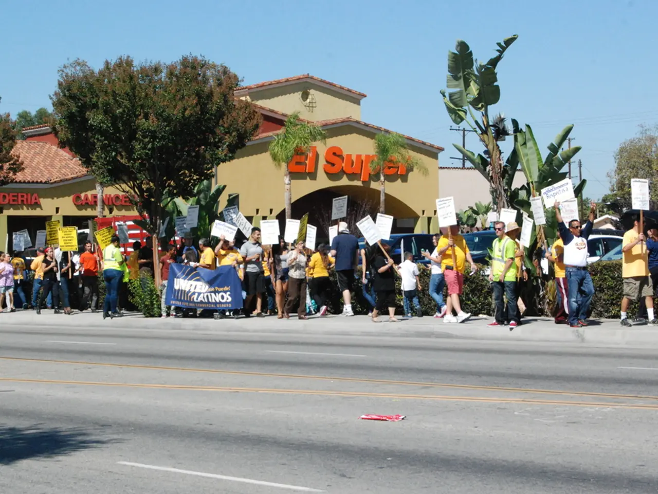 Florida Voting Tendencies Uncovered by Saint Leo University's Analysis