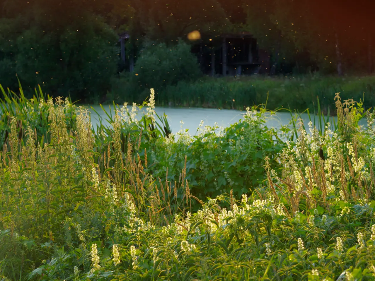 Urgent Appeal for Environmental Awareness and Action