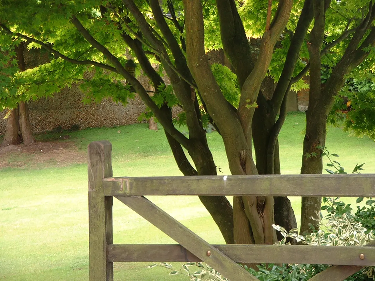 Revisiting the Green Belt: New Perspectives and Ideas for Conservation