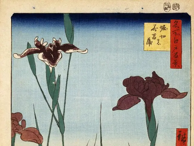 Top 12 Outdoor Science Kits Fostering Hands-On Learning and Awe-Inspiring Discoveries