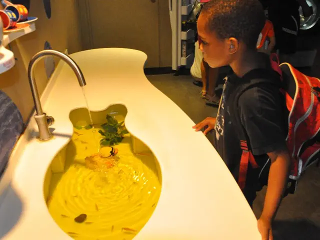 Students are actively participating in the Vodacanal-Prof project, involving them in practical...