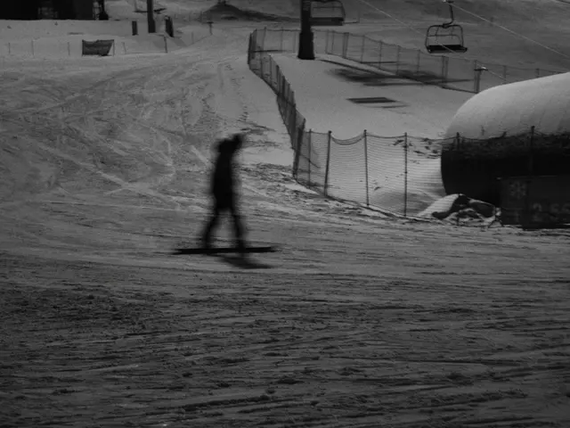 European Court Rules on Community Legislation