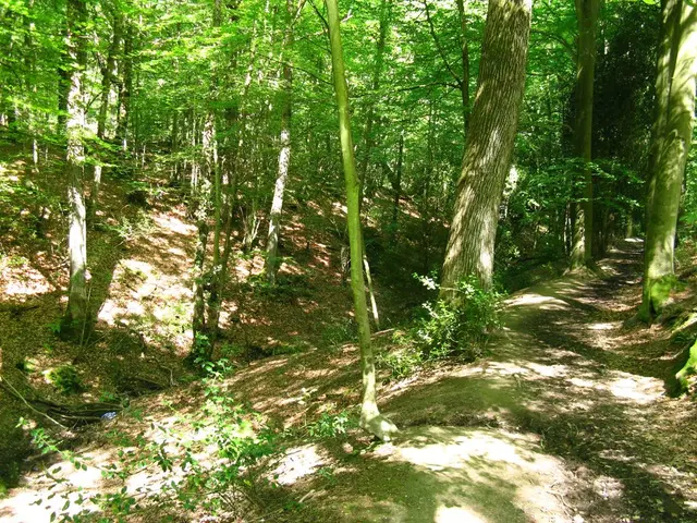 Sneaker brand planning to combat Amazon deforestation with innovative approach