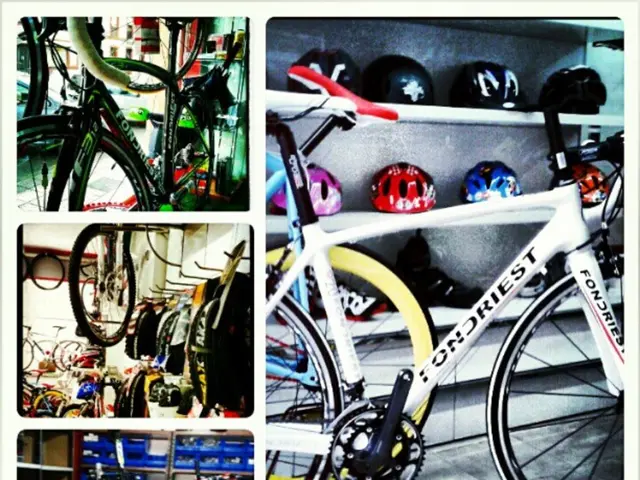 Mastering Two-Wheeled Freedom: A Guide to Bicycle Riding