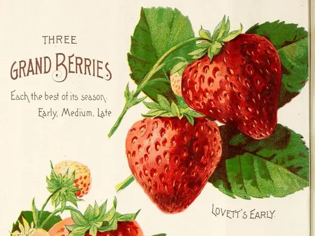 Class 12th English Literature Syllabus for 2025-26 by RBSE available for free download as a PDF...