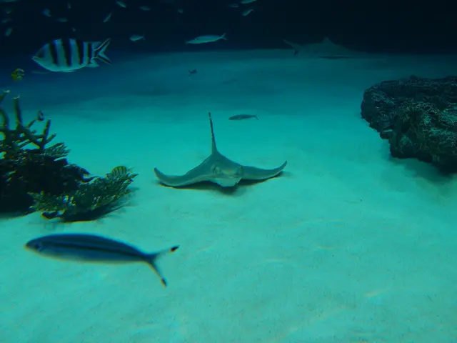 South Africa's NRF and UNESCO affiliate forge agreement to propel advancements in science,...