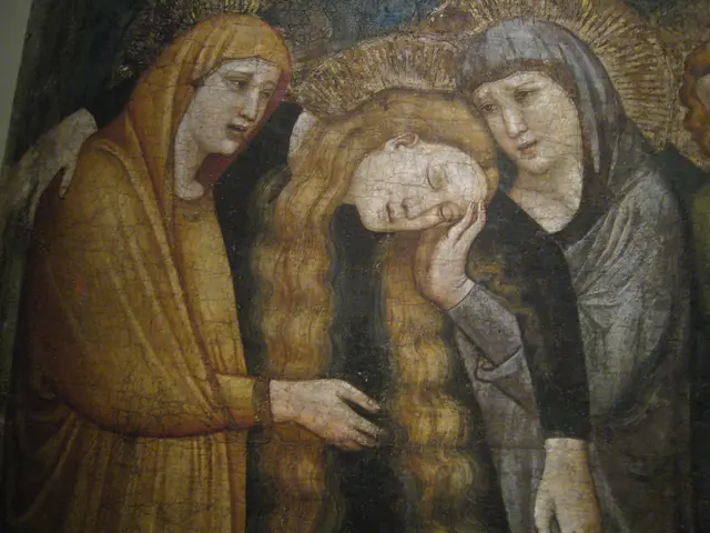 Options for Transferring Credits for Displaced Art School Students