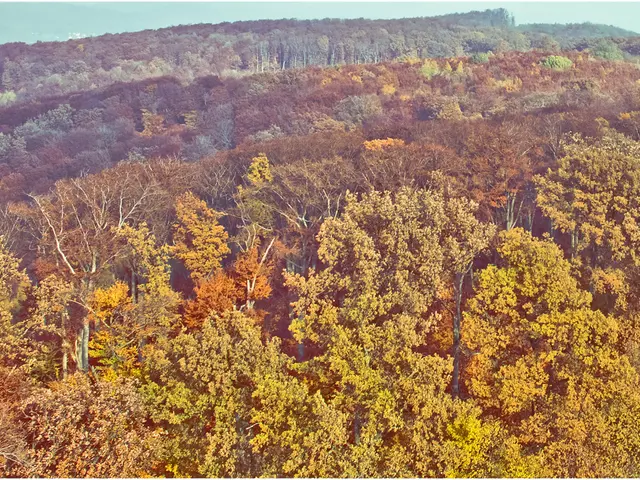 The Persistence of Human Existence in the Face of Insufficient Investment in Innovation