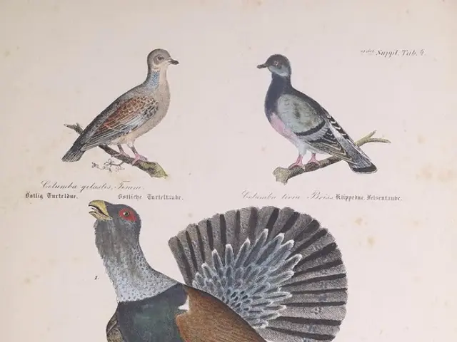 AI Discovers Crows Possess a More Complex Vocabulary Than Previously Believed: Language Abilities...