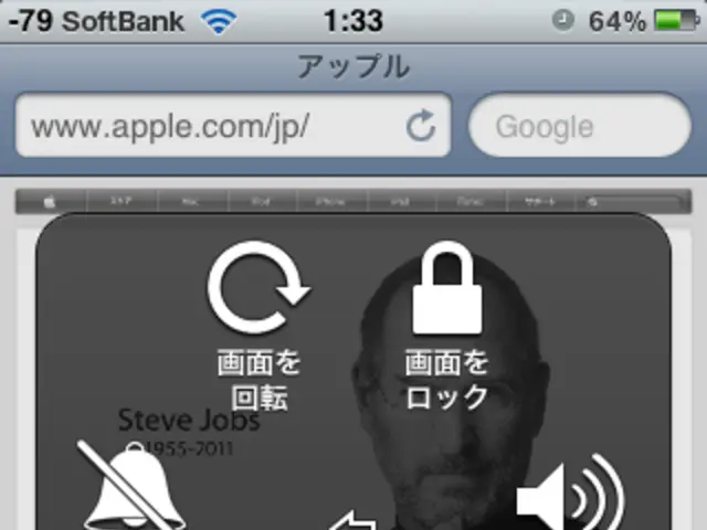 Functioning Mechanism of Apple Pay