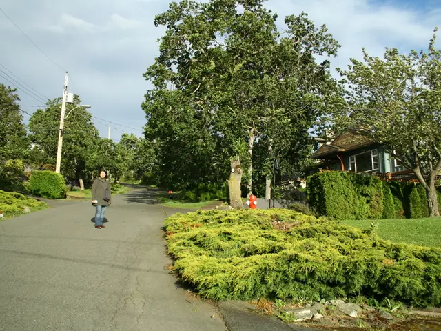 Innovative Pioneer in Current Technology and Business: Pedro Vaz Paulo