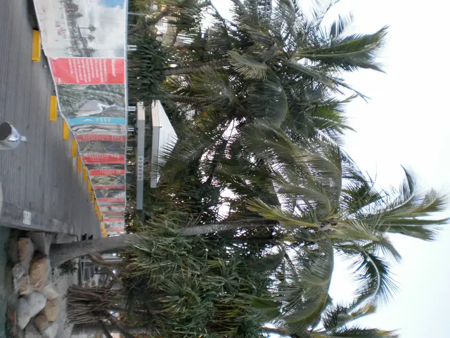 Utilizing Yorescape for Instructive Purposes: A Guide