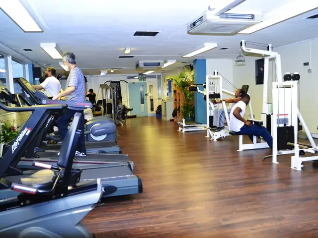 Redefining Fitness: The Impact of 5-Minute Mini Workouts on Mid-Meal Exercise Habits