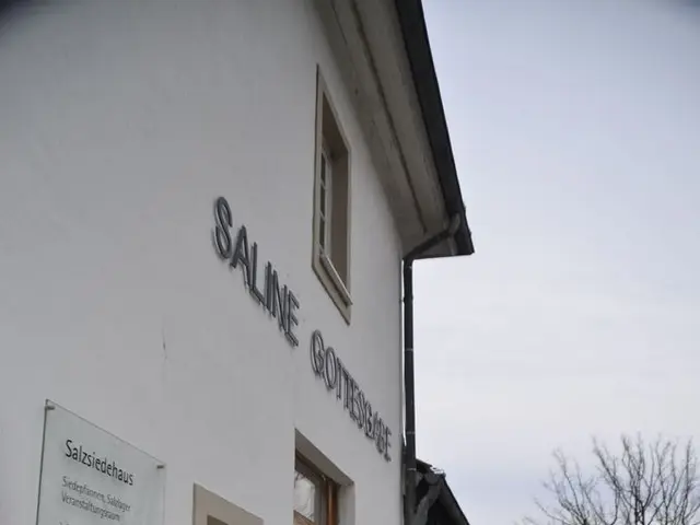 Searching for the upcoming CEO of Stevenage