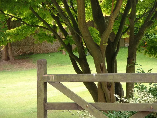 Transitioning Green: Ensuring Every Workforce Finds Success