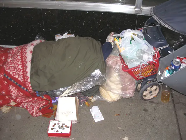 Navigating Legal Hurdles in Nonprofit Sphere: Overcoming Privacy Conundrums