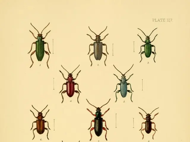 Interpreting the Symbolism Hidden within Your Sleep Experiences