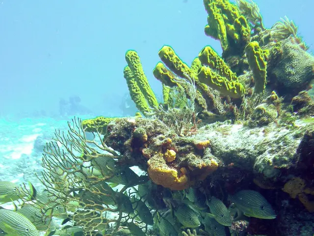 Military Grants Given to Ten UC San Diego Scientists for Instrumentation Development within the...