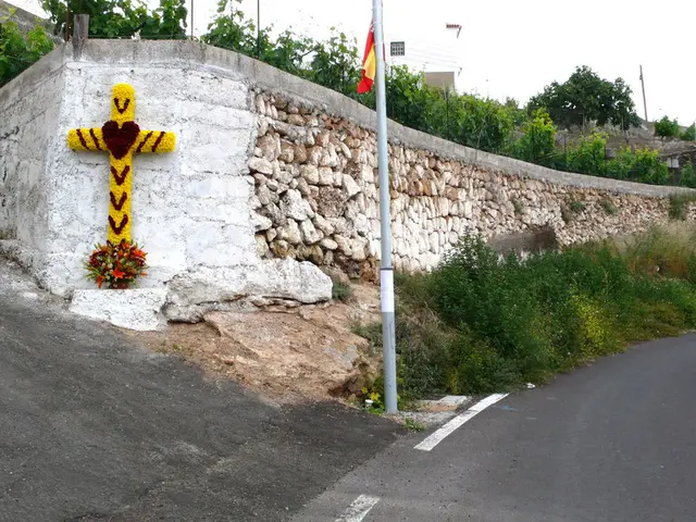 Making the Correct Decision: A Guide