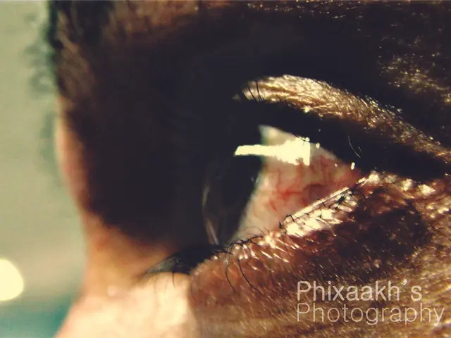 Highlighting the Postdoctoral Journey: Dr. Erin Bojanek, PhD, Bachelor's Degree graduate ('14)