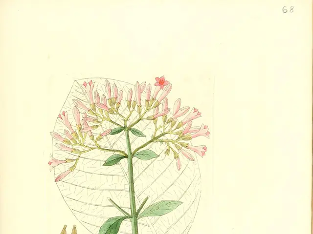 Natural Patterns and Patterns Found in the Environment