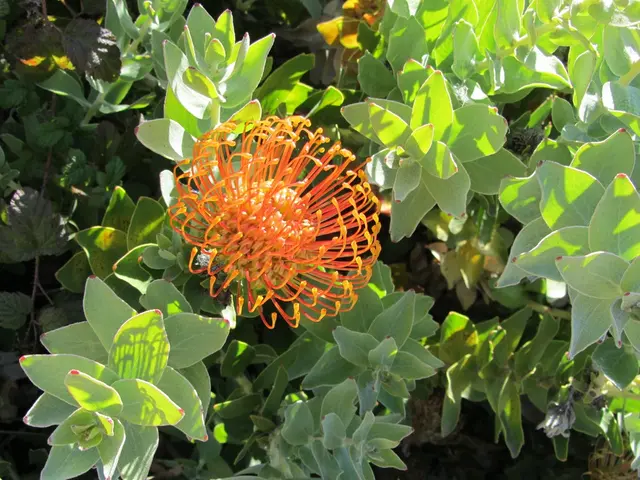 Establishing a New Habit: A Simple Guide (in 8 Straightforward Steps)