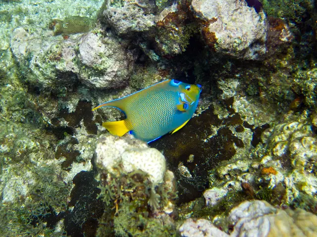 Recognizing Hazards in Coastal Zones: Going Beyond Litter to Identify Perils