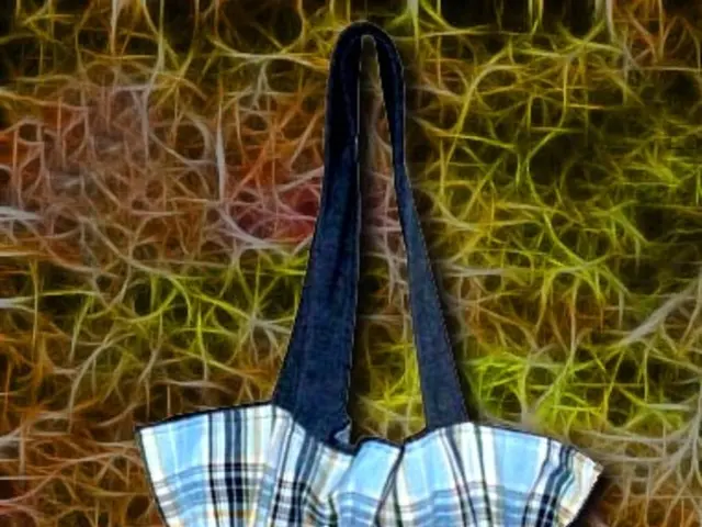 CBSE 10th supplementary results 2025 live: Scorecards to be released imminently - Follow the latest...