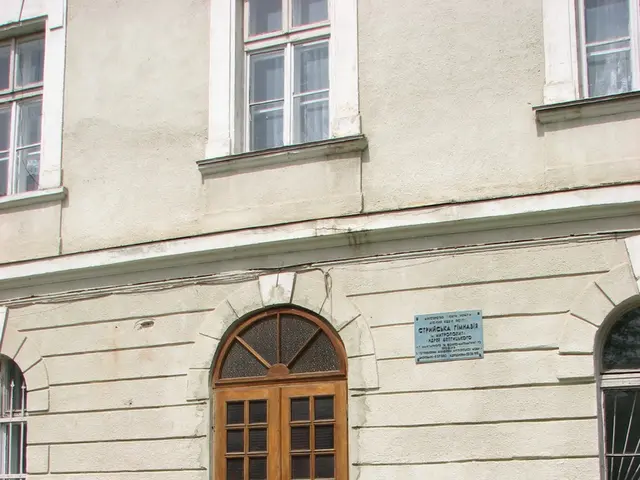 Efficient Home Management and Daily Routine Strategies in English Language