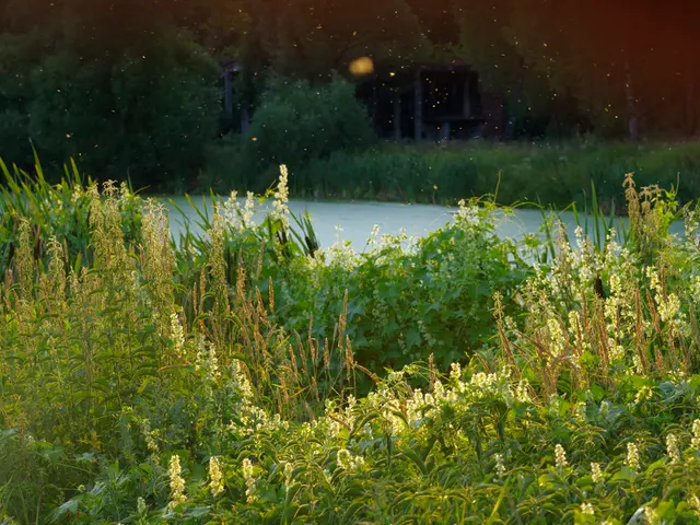 Urgent Appeal for Environmental Awareness and Action