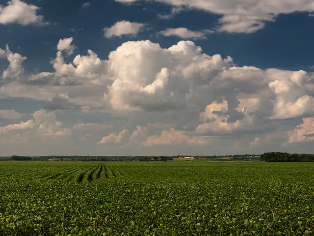 Impact of environmental issues shaping modern cinematography