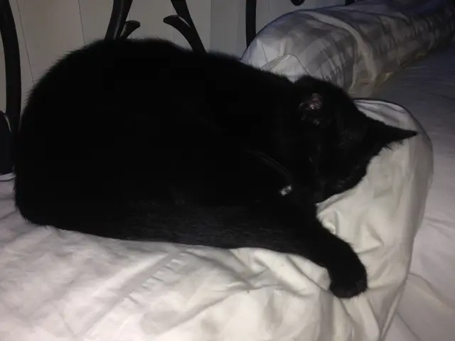 Symbol of the Strike