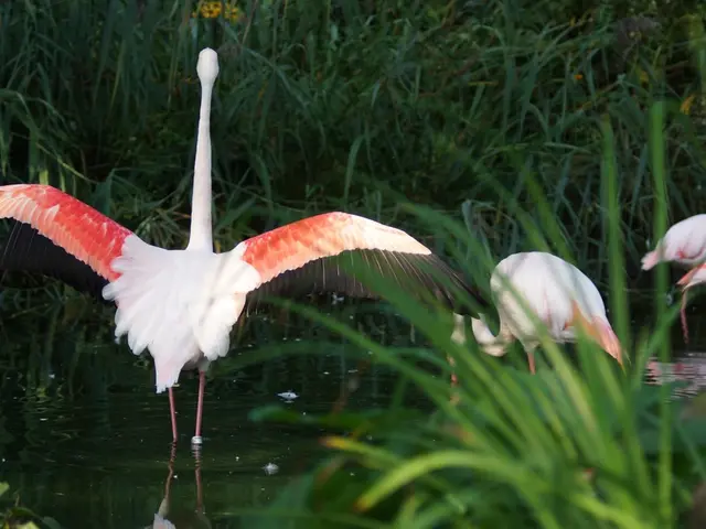 Exploring Lackford Lakes: A Home to Nightingales and a Variety of Other Species