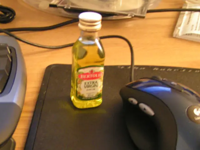 Techniques for Recording Information Using Multiple Senses, Strengthening Practical Abilities in...