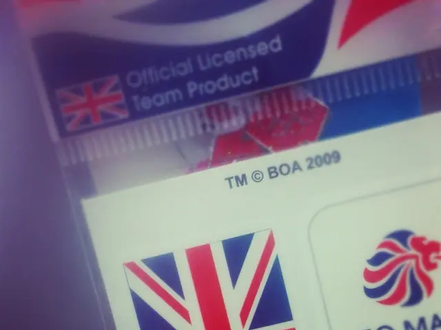 Setting International Standards to Safeguard Online Consumers from Risky Replicas