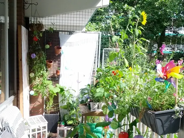 New Purchase Leaves You Feeling Discontent with Your Entire Home? You're Not the Only One - It's...