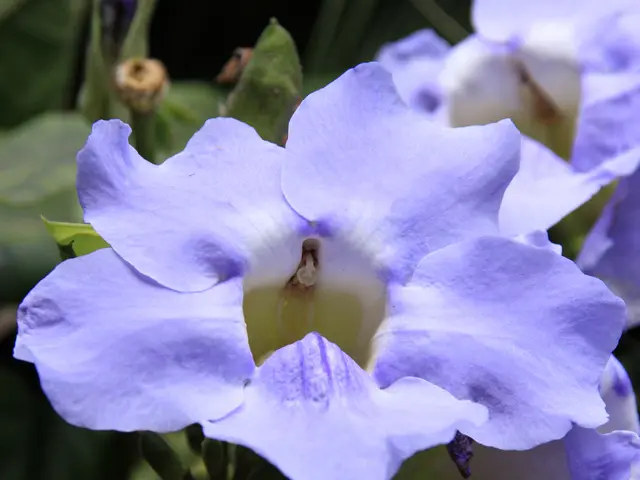 Developing a Mindful Morning Ritual for Stress-Free Beginnings