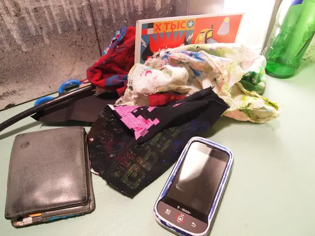 Streamlined Techniques for Daily Transactions through Digital Payments