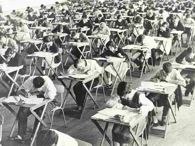 Strategies for Readying Yourself for IB Math Exams Over the Summer: Smarter Approaches to Maintain...