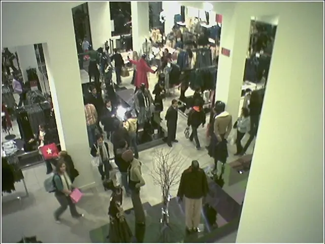 The Science Exploring the Link between Brain Structure and Human Identity: An Insight into the...