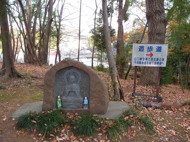 Exploring the Connection: Psychotropic Substances and Environmental Activism