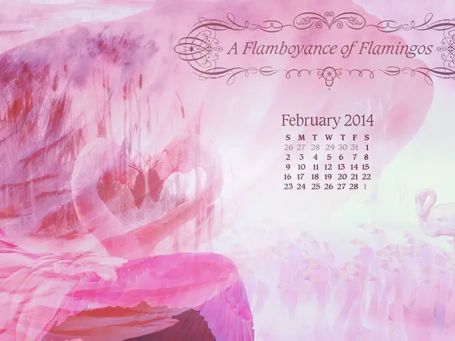 2025-2026 School Year Dates for Dallas-Fort Worth Area Schools: Commencement and Closing Dates...