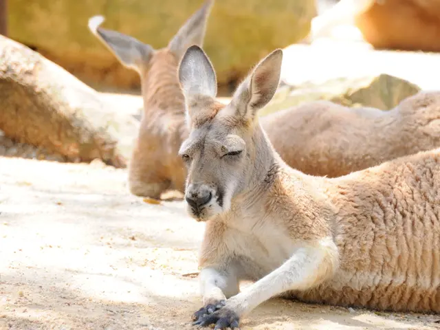 Examining patiently for the concluding test to materialize.