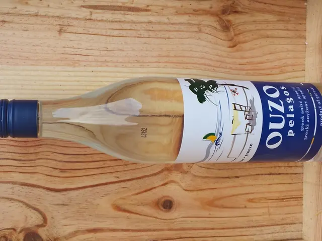 Pursuing a Path in Finances: Various Routes and Chances for Prosperity