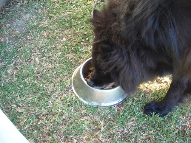 Residents of Petropavlovsk-Kamchatsky are heavily engaging in the process of signing social...