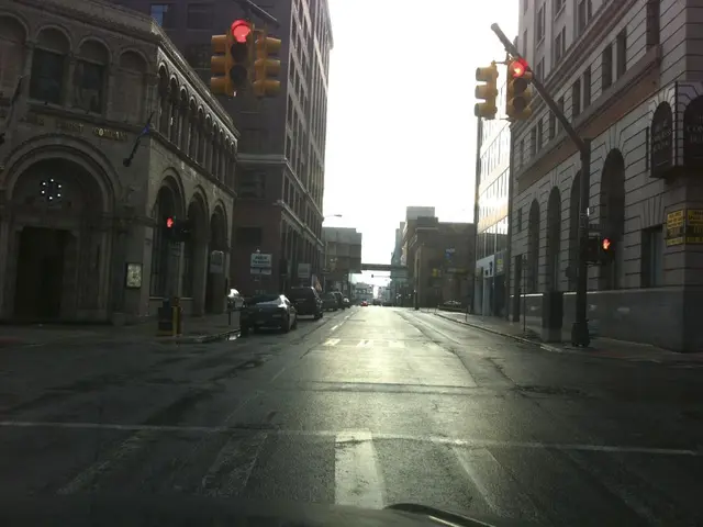 EnhancedSecurity on the Forest Pathway