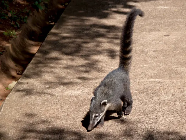 Vegetation Can Fall Ill: A Discussion