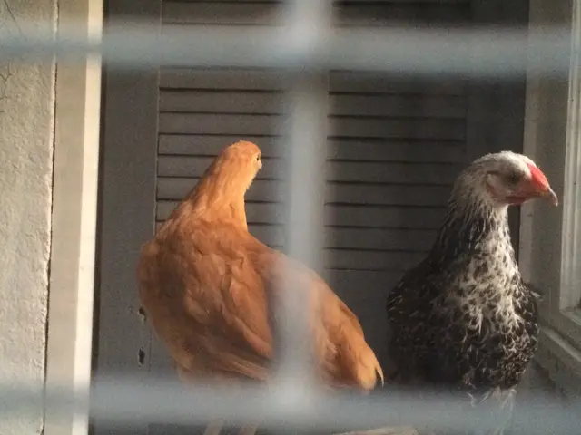 Launch of India's Initial Joint Cage-Free Instructional Center in Trichy, Tamil Nadu