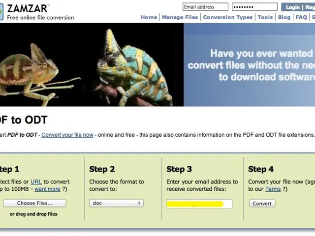 Zambia Initiates Digital Business Skills Education for Youth Empowerment