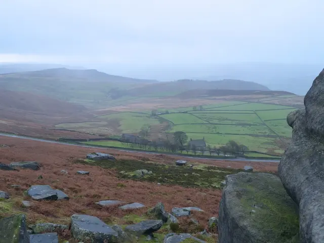 Revitalizing a Hemp Farming Network in the Lofty Himalayas